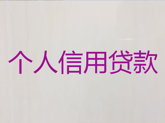 苏州贷款公司